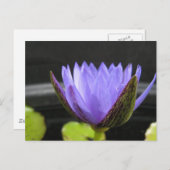 Laura Frase Postkarte (Vorne/Hinten)