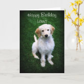 Laura Happy Birthday Golden Doodle Puppy Karte (Gelbe Blume)