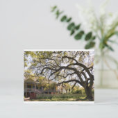 Laura Plantation, New Orlean Postkarte (Stehend Vorderseite)