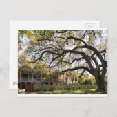 Laura Plantation, New Orlean Postkarte (Vorne/Hinten)