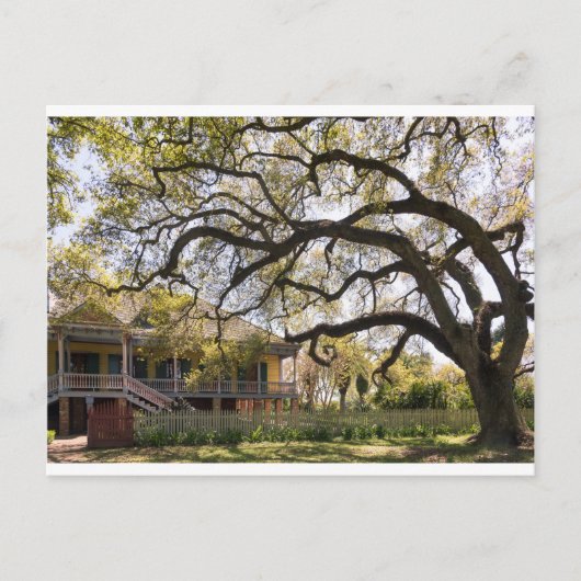 Laura Plantation, New Orlean Postkarte (Vorderseite)