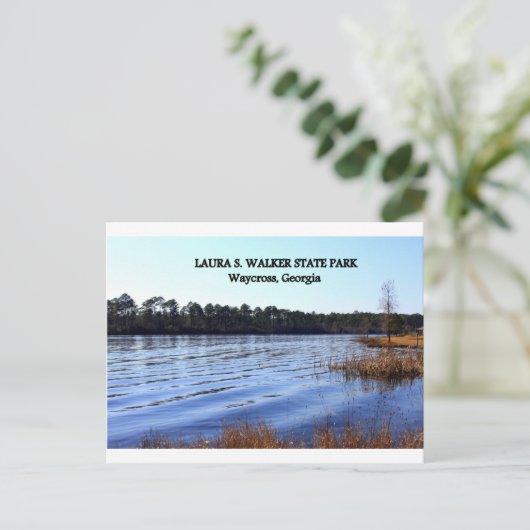LAURA S. WALKER STAAT PARK - Waycross, Georgia Postkarte (Stehend Vorderseite)