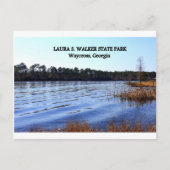 LAURA S. WALKER STAAT PARK - Waycross, Georgia Postkarte (Vorderseite)