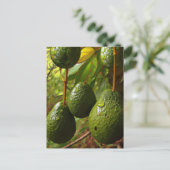 Laurales Postkarte (Stehend Vorderseite)