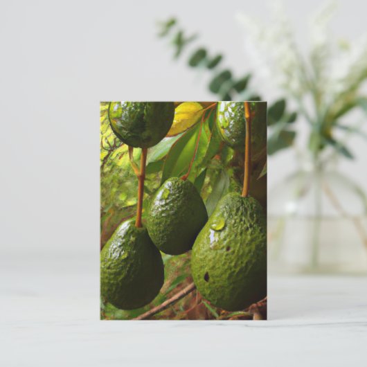 Laurales Postkarte (Stehend Vorderseite)