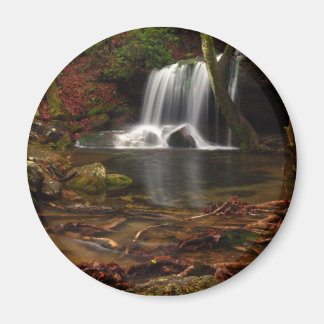 Laurel Falls Magnet