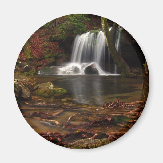 Laurel Falls Magnet (Vorne)