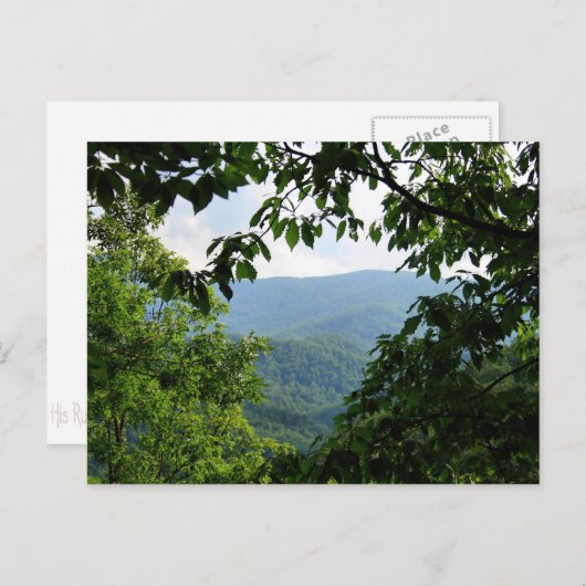 Laurel Falls Postkarte (Vorne/Hinten)