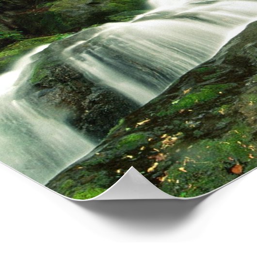 Laurel Falls, Tennessee Poster (Ecke)