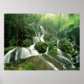 Laurel Falls, Tennessee Poster (Vorne)
