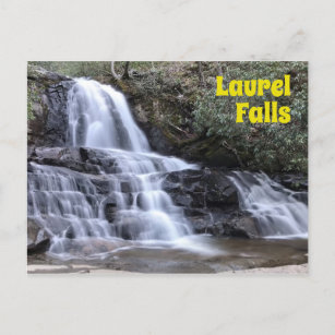 Laurel fällt im Großen Smoky-Gebirge Postkarte