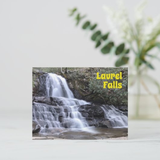 Laurel fällt im Großen Smoky-Gebirge Postkarte (Stehend Vorderseite)