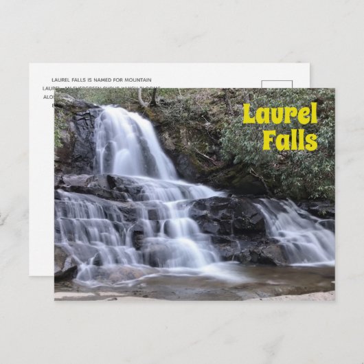 Laurel fällt im Großen Smoky-Gebirge Postkarte (Vorne/Hinten)