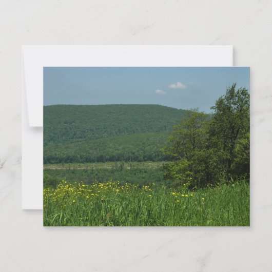 Laurel Highlands Pennsylvania Sommerfotografie (Vorderseite)