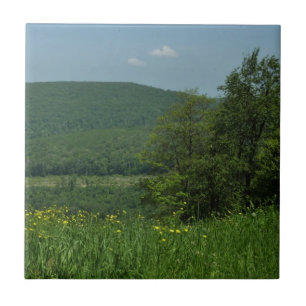 Laurel Highlands Pennsylvania Sommerfotografie Fliese