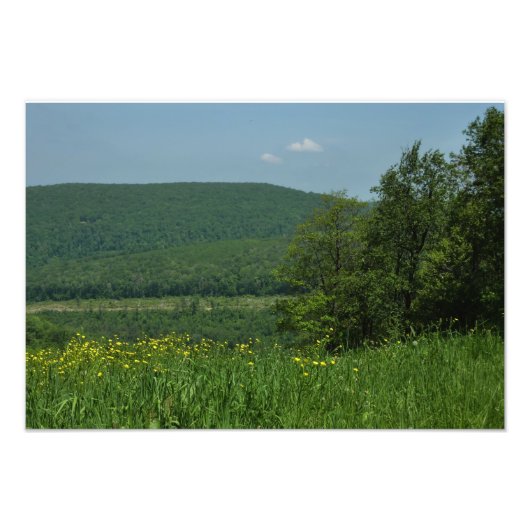 Laurel Highlands Pennsylvania Sommerfotografie Fotodruck (Vorne)