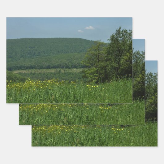 Laurel Highlands Pennsylvania Sommerfotografie Geschenkpapier Set (Set)