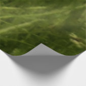 Laurel Highlands Pennsylvania Sommerfotografie Holzposter (Ecke)