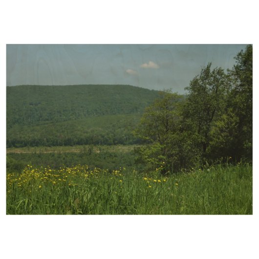 Laurel Highlands Pennsylvania Sommerfotografie Holzposter (Vorderseite)