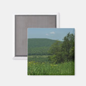 Laurel Highlands Pennsylvania Sommerfotografie Magnet (Vorderseite/Rückseite)