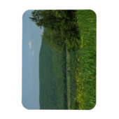 Laurel Highlands Pennsylvania Sommerfotografie Magnet (Vertikal)