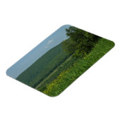 Laurel Highlands Pennsylvania Sommerfotografie Magnet (Linke Seite)