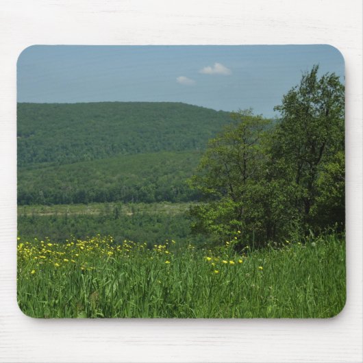 Laurel Highlands Pennsylvania Sommerfotografie Mousepad (Vorne)