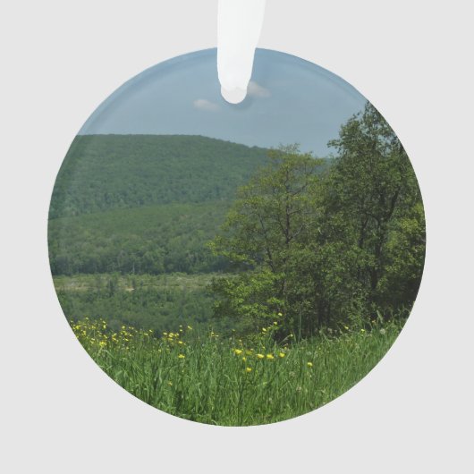 Laurel Highlands Pennsylvania Sommerfotografie Ornament (Vorderseite)