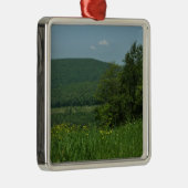 Laurel Highlands Pennsylvania Sommerfotografie Ornament Aus Metall (Rechts)