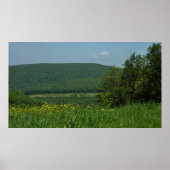 Laurel Highlands Pennsylvania Sommerfotografie Poster (Vorne)