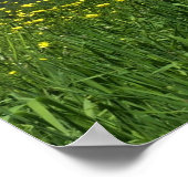 Laurel Highlands Pennsylvania Sommerfotografie Poster (Ecke)