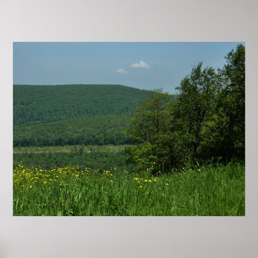 Laurel Highlands Pennsylvania Sommerfotografie Poster (Vorne)