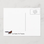 Laurel Highlands Pennsylvania Sommerfotografie Postkarte (Rückseite)