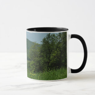 Laurel Highlands Pennsylvania Sommerfotografie Tasse