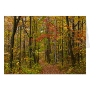 Laurel Hill Trail im Herbst