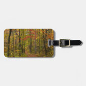 Laurel Hill Trail im Herbst Gepäckanhänger (Vorderseite horizontal)