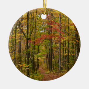 Laurel Hill Trail im Herbst Keramikornament