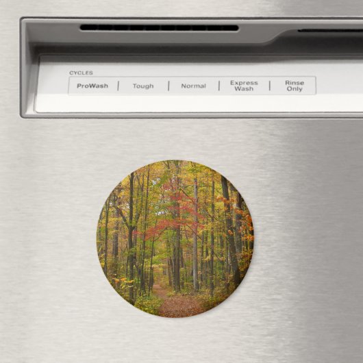 Laurel Hill Trail im Herbst Magnet (In Situ (Geschirrspüler))