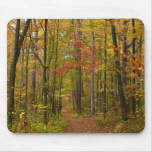 Laurel Hill Trail im Herbst Mousepad