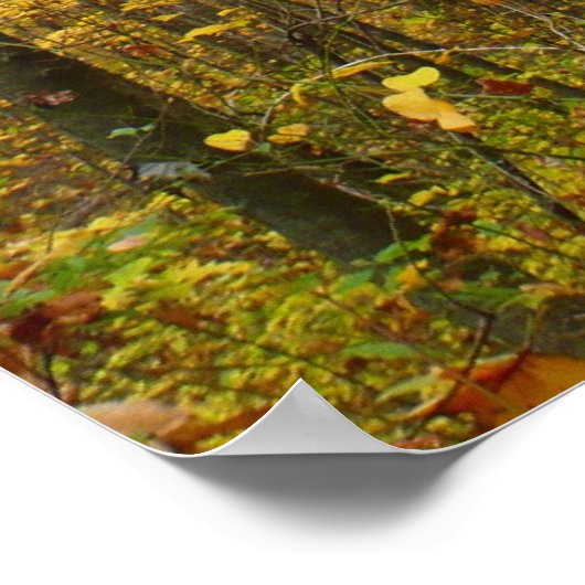 Laurel Hill Trail im Herbst Poster (Ecke)