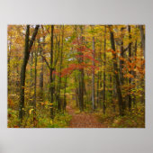 Laurel Hill Trail im Herbst Poster (Vorne)