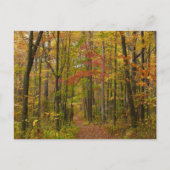 Laurel Hill Trail im Herbst Postkarte (Vorderseite)