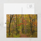 Laurel Hill Trail im Herbst Postkarte (Vorne/Hinten)