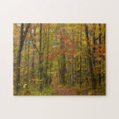 Laurel Hill Trail im Herbst Puzzle (Horizontal)