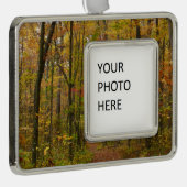 Laurel Hill Trail im Herbst Rahmen-Ornament Silber (Rechts)