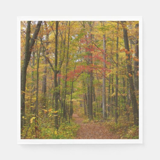 Laurel Hill Trail im Herbst Serviette (Vorderseite)