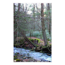 Laurel Run 2 Foto Print