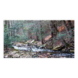 Laurel Run 3 Foto Print