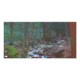 Laurel Run 4 Foto Print