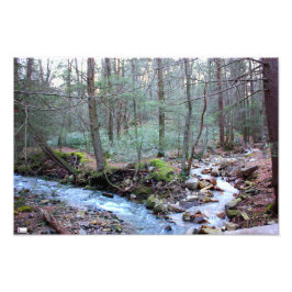 Laurel Run Foto Print